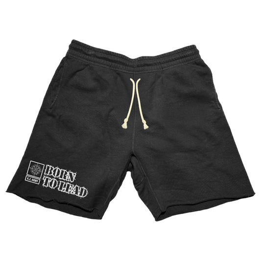 Vanguard Distressed Shorts